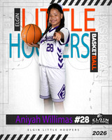 Aniyah Willimas 3