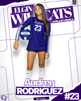 A Rodriguez 1