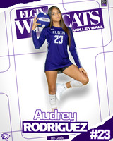 A Rodriguez 2