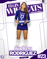 A Rodriguez 3