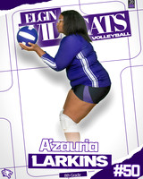 A LAarkins 2