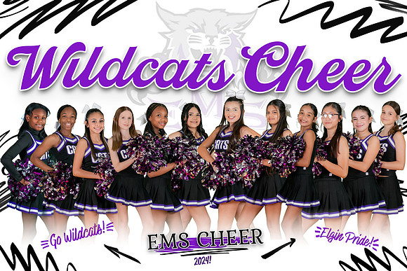 EMS TEAM