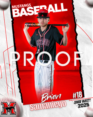 Brian Samaniego 2