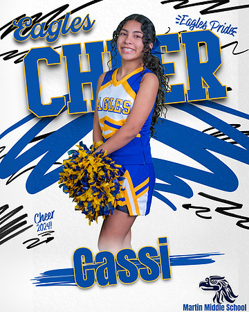 Cassi 2